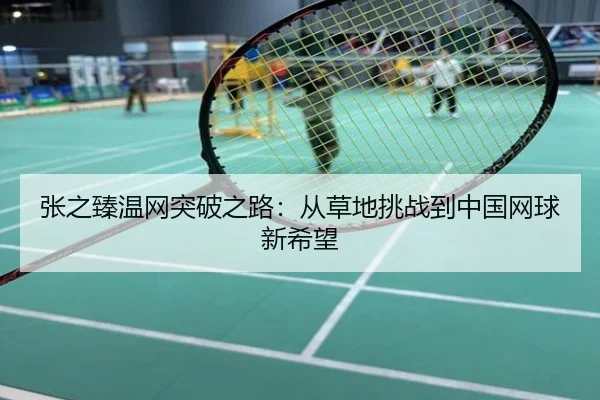 张之臻温网突破之路：从草地挑战到中国网球新希望