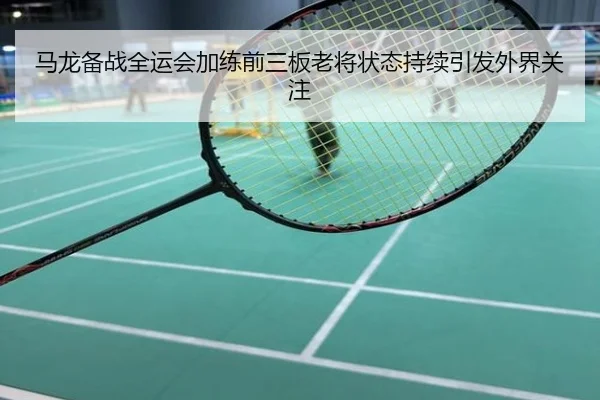 马龙备战全运会加练前三板老将状态持续引发外界关注